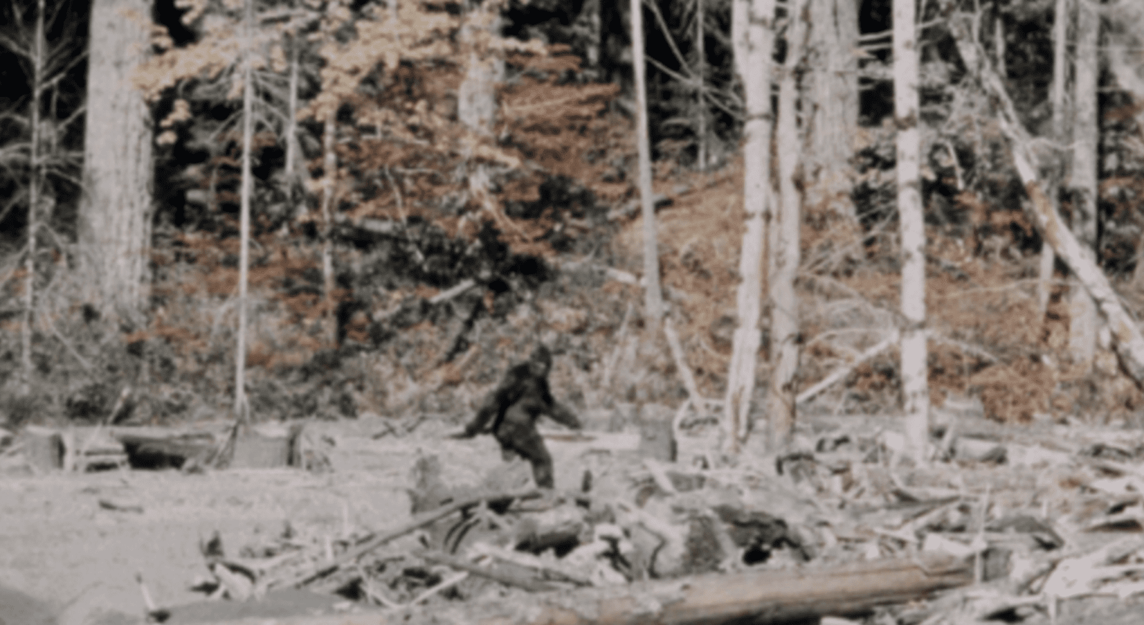 Cryptidcore Aesthetic - Nativ3