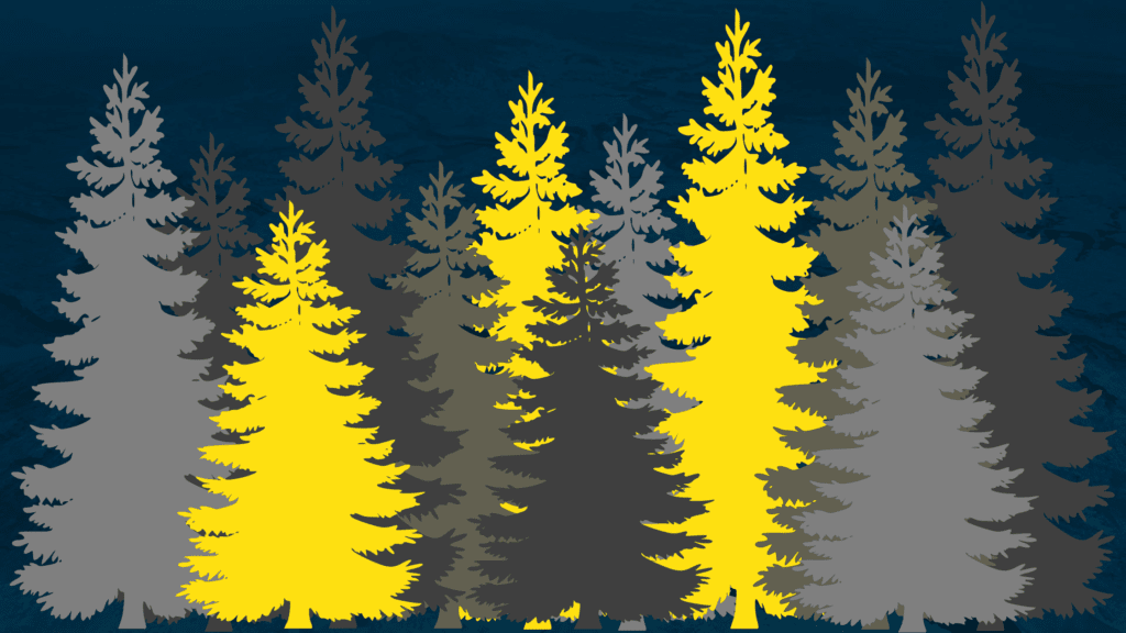 What is Evergreen Content in Marketing? Ideas + Tips to Help You Get Started
