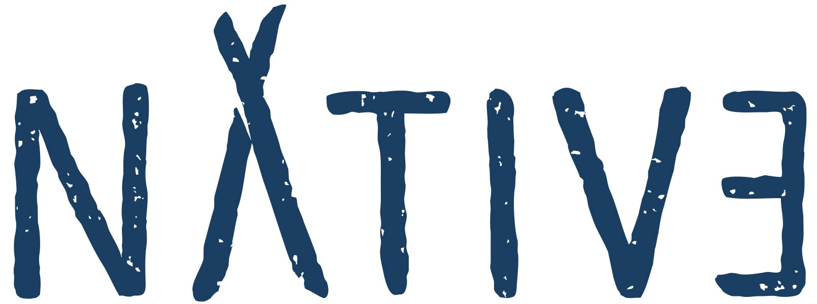 NATIV3_Logo_Rough